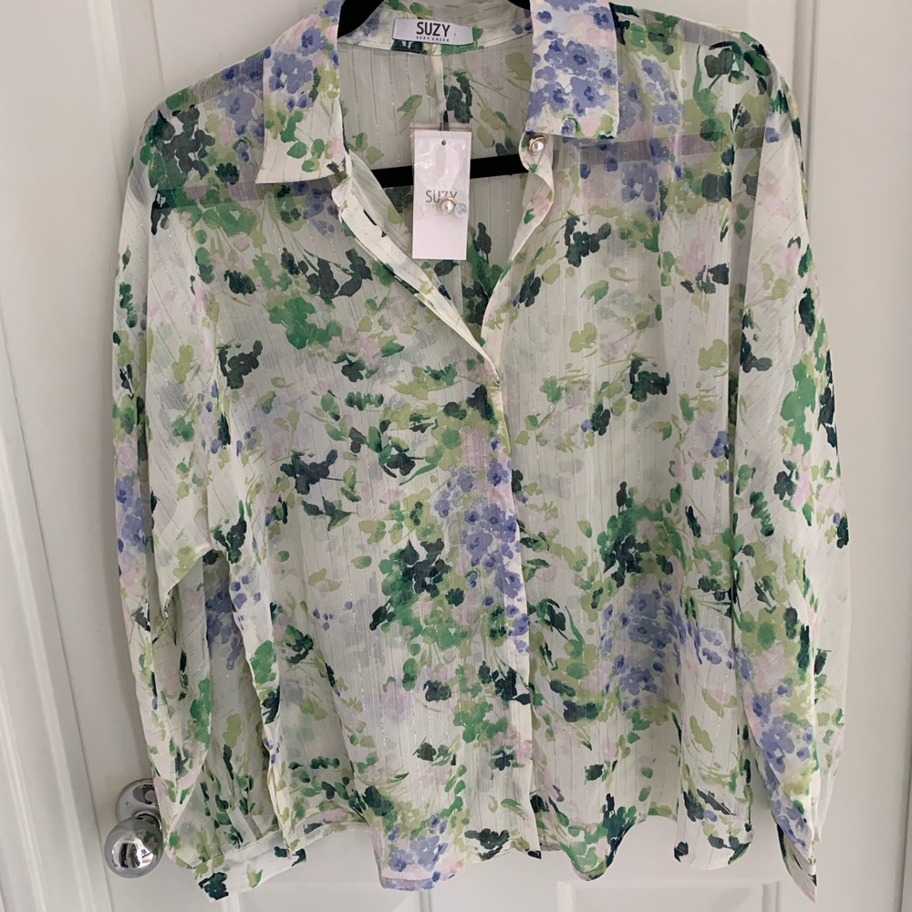 Suzy- shear blouse shirt